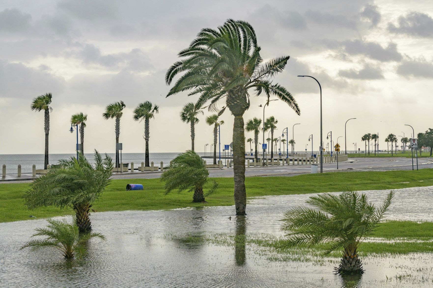 Tropical Weather